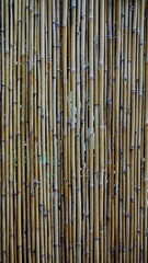 Bamboo Wall Natural Texture Vertical View Brown Yellow Pattern Background. Organic Rustic Surface With Repetitive Cylindrical Elements In Warm Tones