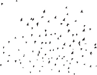 Minimalist Flock of Birds in Flight on White Sky Background