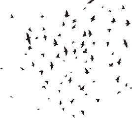 Obraz premium Minimalist Flock of Birds in Flight on White Sky Background