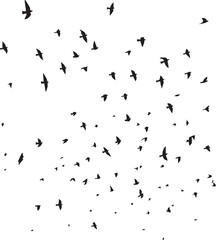 Minimalist Flock of Birds in Flight on White Sky Background