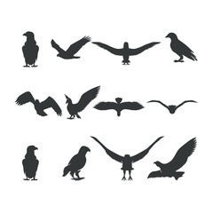 Eagle silhouette, flying bird silhouette