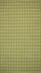 Fabric Texture Olive Color Checkered Pattern Vertical Orientation Close Up Surface Material