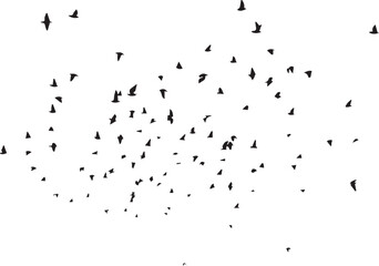 Minimalist Flock of Birds in Flight on White Sky Background