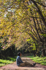 Fototapeta premium solo traveler in nature concept with asian man camping and sightseeing with pink cherry blossom tree in springtime season