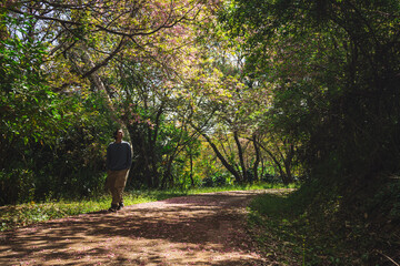 solo traveler in nature concept with asian man camping and sightseeing with pink cherry blossom tree in springtime season