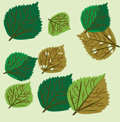 china rose leaf cover picture editable vector