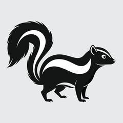 Skunk line art vector illustration.