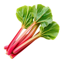 Fresh rhubarb stalks with leaves isolated on white background