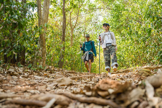 Hiker hiking trail journey, Trekking hike adventure, Walking lifestyles activity.