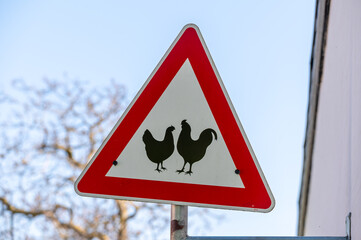 Straßenschild mit Warnung vor Hühnern