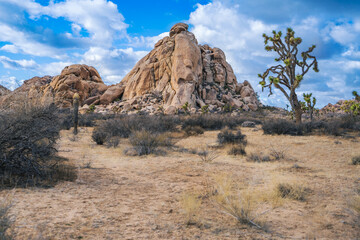 Desert Landscape with Prominent Rock Hill and Joshua Trees in Jo