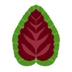 Obraz premium illustration of a green leaf