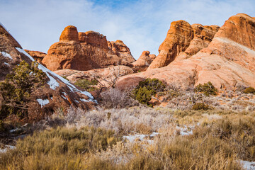 Fototapeta premium Desert Rocks and Shrubs Under Blue Sky in Arches National Park, Utah