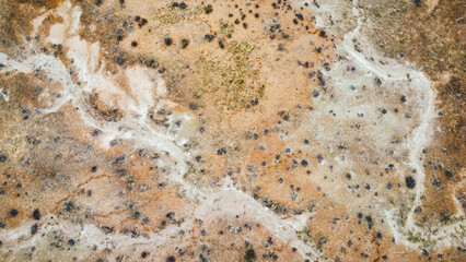 Aerial view of scattered desert vegetation and dry Utah terrain
