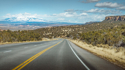 Scenic highway with pine forest and distant snowy mountain