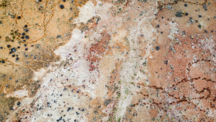 Earth-toned desert landscape with texture and sparse vegetation