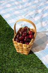 Fresh Cherries in a Woven Basket on a Gingham Picnic Blanket