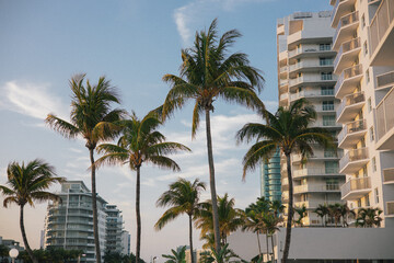 nice color photo of Miami Beach