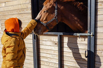 Fototapeta premium Boy in orange hoodie petting a horse outdoors