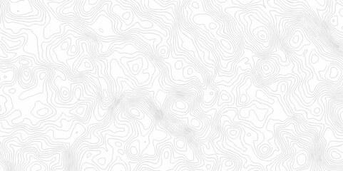 Modern location topo map design White background with topographic world grid wave Topographic map geographic line texture.	
