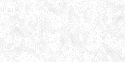 Modern location topo map design White background with topographic world grid wave Topographic map geographic line texture.	
