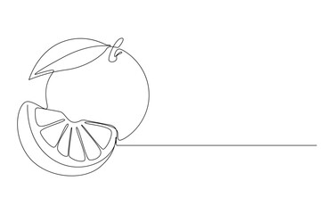 Orange Slices A Single Line Drawing of Citrus Fruit, Minimalist Line Art Illustration of a Lemon Slice, Orange Fruit Slice with Leaf - Minimalist Line Art