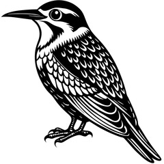 hand drawn vector illustration of a bird