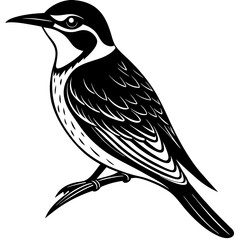 vector illustration of a bird
