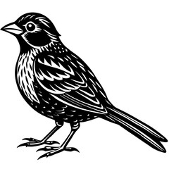 sketch of a bird
