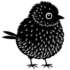 owl on a white background