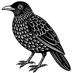 bird on a branch
