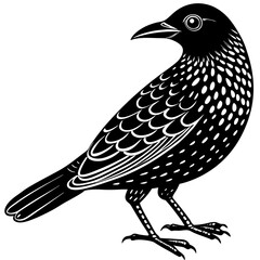 bird on a branch