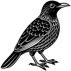 bird on a branch