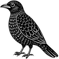 Fototapeta premium vector illustration of a bird