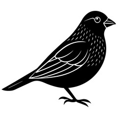bird on a branch
