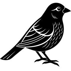 bird on a branch