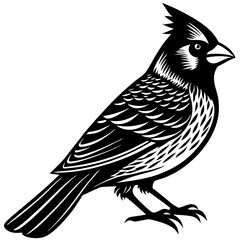 bird on a branch