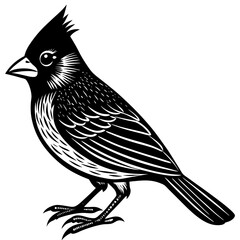 vector illustration of a bird