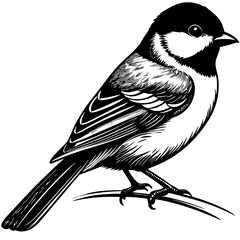 bird on a branch © CHANCHAL