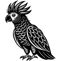 black and yellow macaw