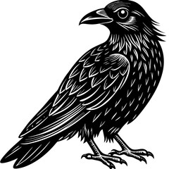 eagle on a white background