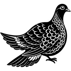 vector illustration of a dove
