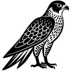 eagle vector illustration