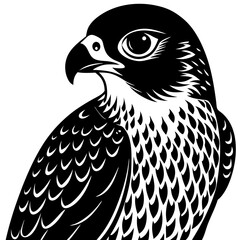eagle vector illustration