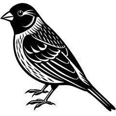 bird on a branch