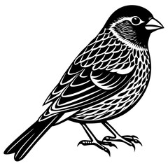 bird on a branch