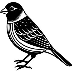 bird on a branch