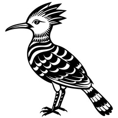 black and white bird