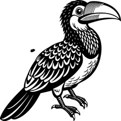 Obraz premium toucan on a branch