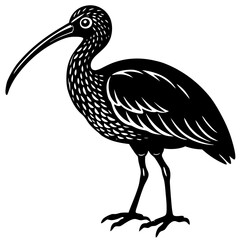 Fototapeta premium vector illustration of a bird